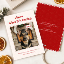 Minimale Grappige Schattige Hond Dier Foto Kerstmi