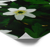 Minimale inspanning, maximale ontspanning. Anti-mo Poster (Hoek)