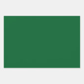Minimale jager, groene vaste elegant inpakpapier vel (Voorkant)
