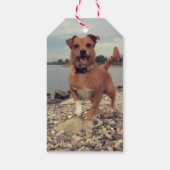 Minimale Kersthondmagneet Cadeaulabel (Achterkant)