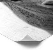 Minimale Koe van Black and White Peekaboo Nursery Poster (Hoek)