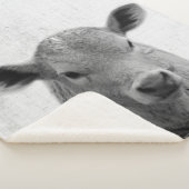 Minimale Koe van Black and White Peekaboo Nursery Sherpa Deken (3/4)