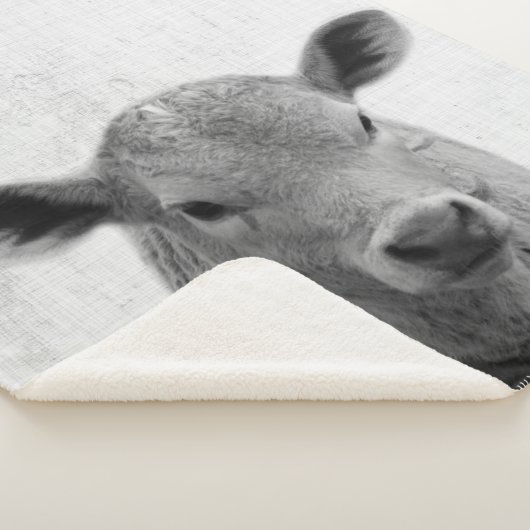 Minimale Koe van Black and White Peekaboo Nursery Sherpa Deken (3/4)