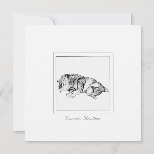 Minimale kookplaat en kookplaat notitiekaartje (Voorkant)