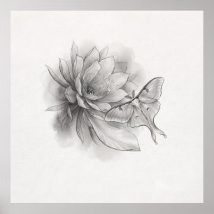 Minimale maanvlinder lotusbloem potlood kunst post poster