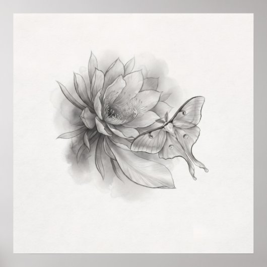 Minimale maanvlinder lotusbloem potlood kunst post poster (Voorkant)