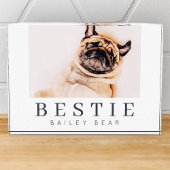 Minimale Modern Chic Pet Bestie BFF Foto
