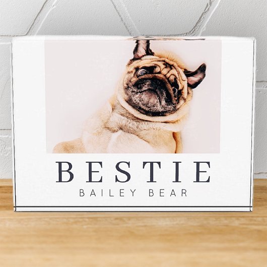 Minimale Modern Chic Pet Bestie BFF Foto