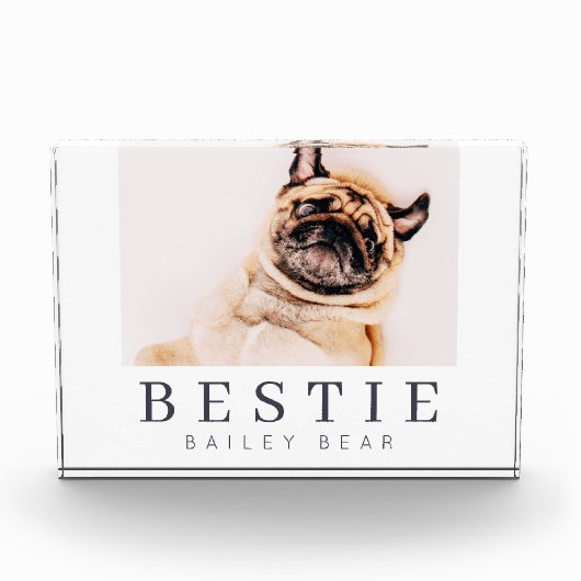 Minimale Modern Chic Pet Bestie BFF Foto (Voorkant)