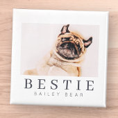 Minimale Modern Chic Pet Bestie BFF Foto Magneet