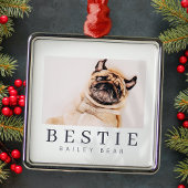 Minimale Modern Chic Pet Bestie BFF Foto Metalen Ornament