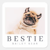Minimale Modern Chic Pet Bestie BFF Foto Vierkante Sticker (Voorkant)
