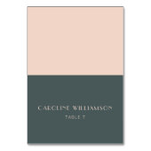 Minimale moderne Art Deco Blauwgroen Blush Place C Kaart (Voorkant)