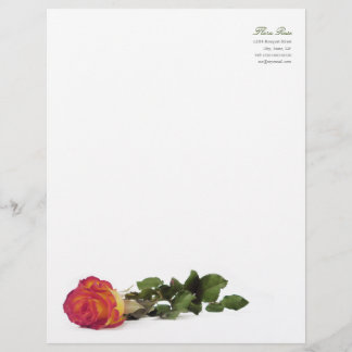 Minimale moderne roodgeel roodroze briefhoofd