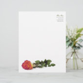 Minimale moderne roodgeel roodroze briefhoofd (Staand voorkant)