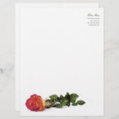 Minimale moderne roodgeel roodroze briefhoofd (Voorkant / Achterkant)