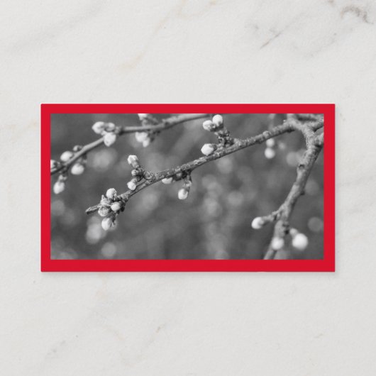 Minimale rood en wit visitekaartje (Achterkant)