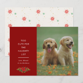 Minimale Schattige Uitdrukking Huisdier Kerst Foto Feestdagenkaart