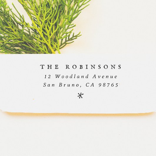 Minimale sneeuwvlok Vintage Kerst Retour Adres Rubberstempel