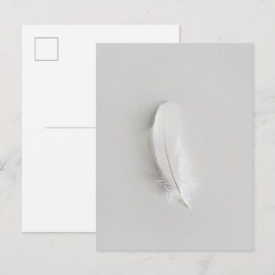 Minimale witte veer briefkaart