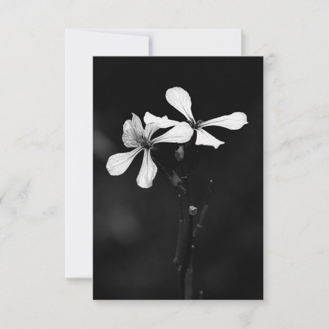 Minimale zwart-wit bloemen (Voorkant)