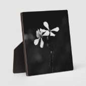 Minimale zwart-wit bloemen fotoplaat (Voorkant)