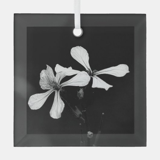 Minimale zwart-wit bloemen glas ornament (Voorkant)