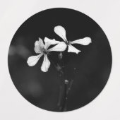 Minimale zwart-wit bloemen labels (Design 2)