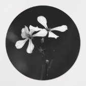 Minimale zwart-wit bloemen labels (Design 1)