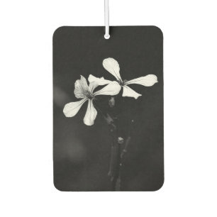 Minimale zwart-wit bloemen luchtverfrisser