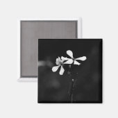 Minimale zwart-wit bloemen magneet (Voorkant / Achterkant)