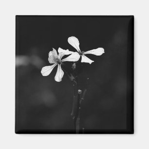 Minimale zwart-wit bloemen magneet