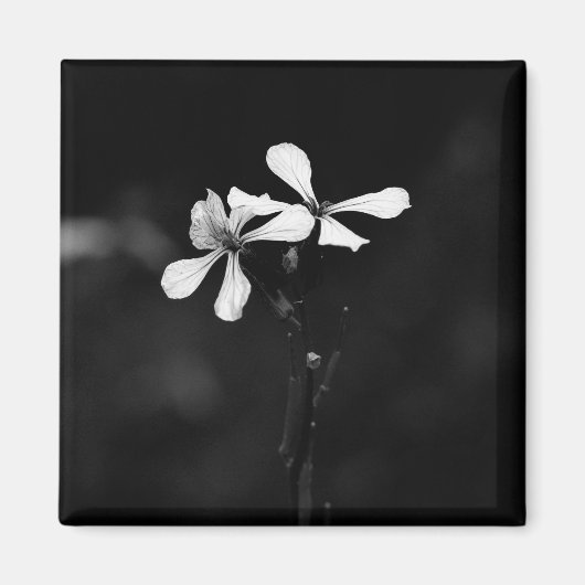 Minimale zwart-wit bloemen magneet (Voorkant)