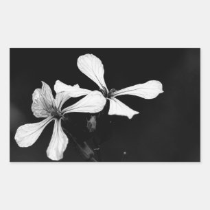 Minimale zwart-wit bloemen rechthoekige sticker