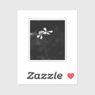 Minimale zwart-wit bloemen sticker