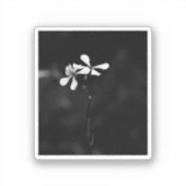 Minimale zwart-wit bloemen sticker (Voorkant)