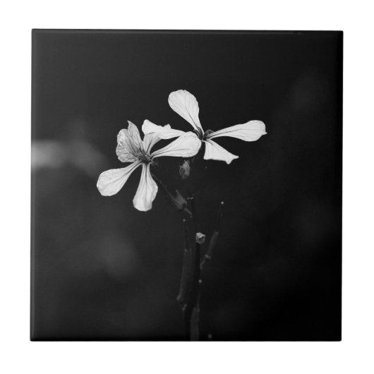 Minimale zwart-wit bloemen tegeltje (Voorkant)