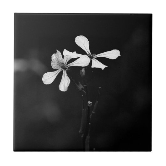 Minimale zwart-wit bloemen tegeltje (Voorkant)