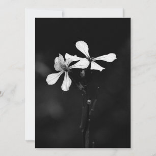 minimale zwart-wit bloemmotief feestdagenkaart