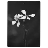 minimale zwart-wit bloemmotief klembord (Achterkant)