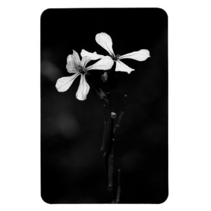 minimale zwarte en witte bloemen magneet