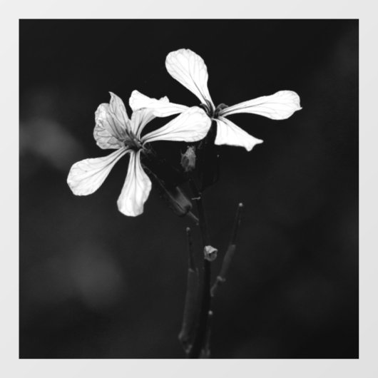 minimale zwarte en witte bloemen raamsticker (Vel)