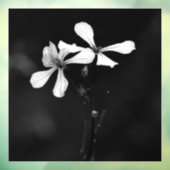 minimale zwarte en witte bloemen raamsticker (Vel 3)