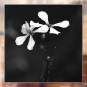 minimale zwarte en witte bloemen raamsticker (Vel 2)
