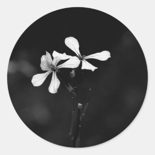 minimale zwarte en witte bloemen ronde sticker