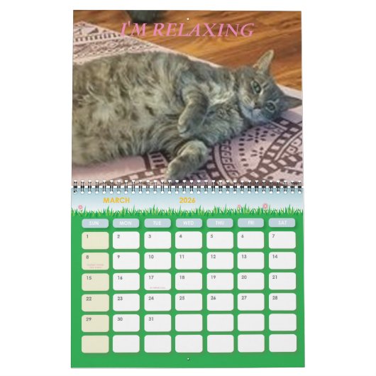 Minimalisatieschema, JAAR/GROOTTE/KLEUR/ONTWERP Kalender (Mar 2026)