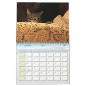 Minimalisatieschema, JAAR/GROOTTE/KLEUR/ONTWERP Kalender (Jan 2026)