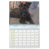 Minimalisatieschema, JAAR/GROOTTE/KLEUR/ONTWERP Kalender (Feb 2026)