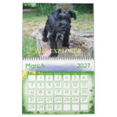 Minimalisatieschema, JAAR/GROOTTE/KLEUR/ONTWERP Kalender (Mar 2027)
