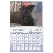 Minimalisatieschema, JAAR/GROOTTE/KLEUR/ONTWERP Kalender (Feb 2027)